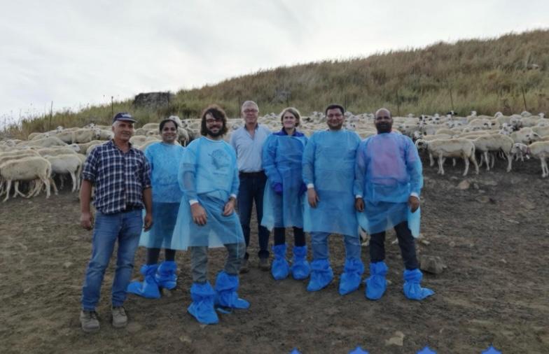 Collection Of Clinical Sample In Field At Sicily Italy